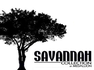 Medallion Savannah Collection